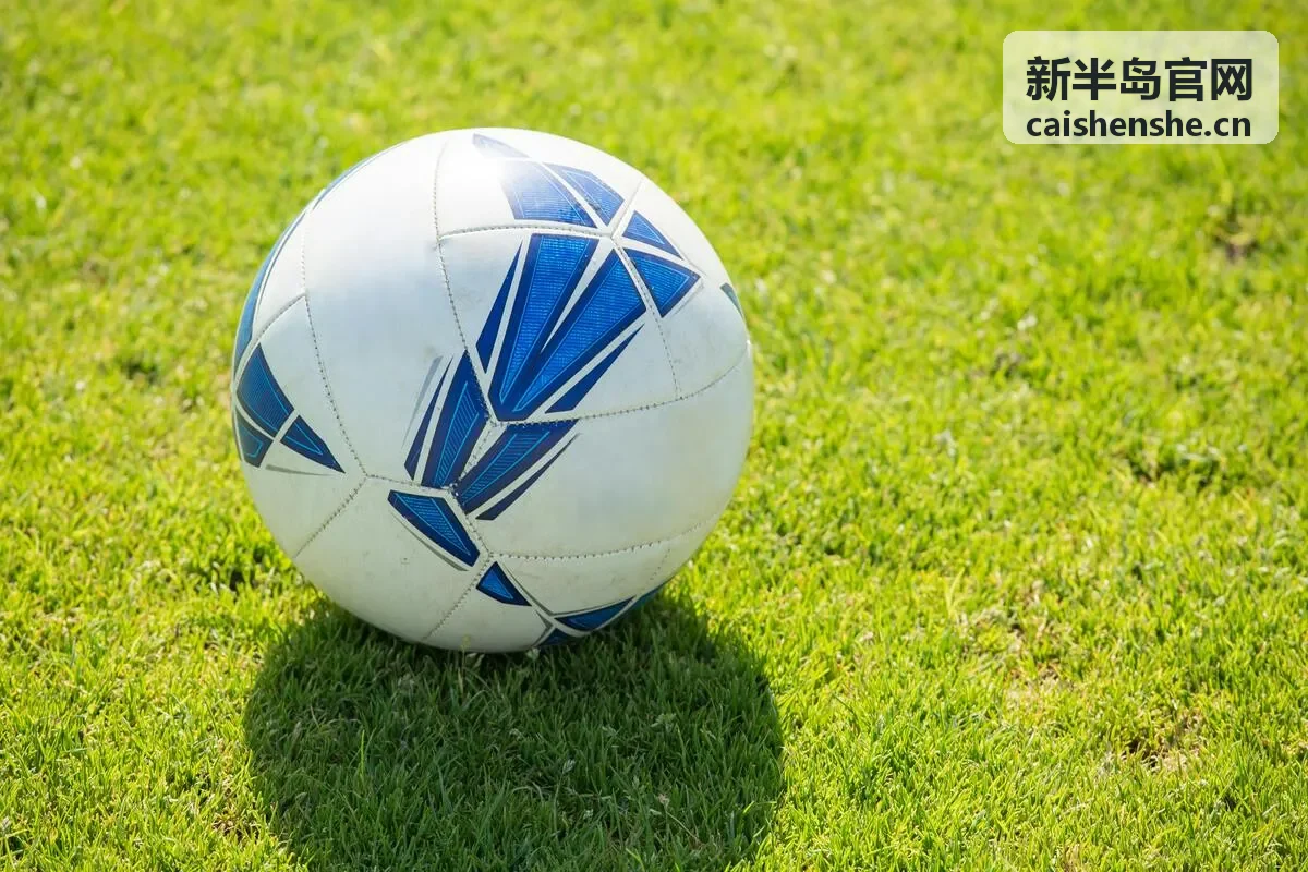新半岛官网区域发展专题